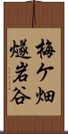 梅ケ畑燧岩谷 Scroll