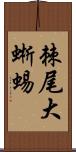 棘尾大蜥蜴 Scroll