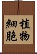 植物細胞 Scroll