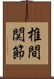 椎間関節 Scroll