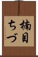 楠目ちづ Scroll