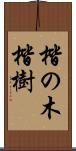 楷の木 Scroll