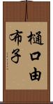 樋口由布子 Scroll