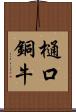 樋口銅牛 Scroll