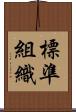 標準組織 Scroll