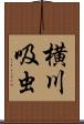 横川吸虫 Scroll