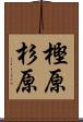 樫原杉原 Scroll