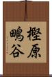 樫原鴫谷 Scroll