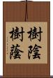 樹陰 Scroll