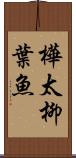 樺太柳葉魚 Scroll