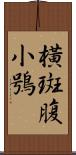 橫斑腹小鴞 Scroll