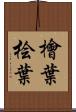 檜葉 Scroll