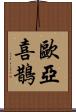 歐亞喜鵲 Scroll