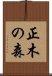 正木の森 Scroll