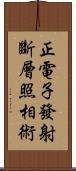 正電子發射斷層照相術 Scroll