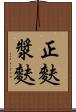 正麩 Scroll