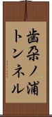 歯朶ノ浦トンネル Scroll