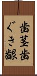 歯茎 Scroll