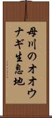 母川のオオウナギ生息地 Scroll