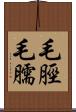 毛脛 Scroll