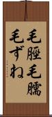毛脛 Scroll
