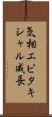 気相エピタキシャル成長 Scroll