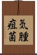 気腫疽菌 Scroll