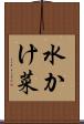 水かけ菜 Scroll