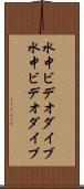 水中ビデオダイブ Scroll