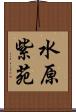 水原紫苑 Scroll