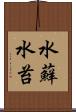 水蘚 Scroll