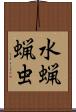 水蝋蝋虫 Scroll