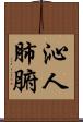 沁人肺腑 Scroll