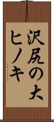 沢尻の大ヒノキ Scroll