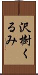 沢樹くるみ Scroll