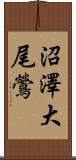 沼澤大尾鶯 Scroll