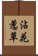 沾花惹草 Scroll