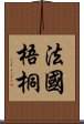 法國梧桐 Scroll