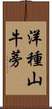 洋種山牛蒡 Scroll