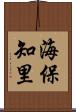 海保知里 Scroll