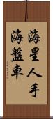 海星 Scroll