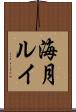 海月ルイ Scroll