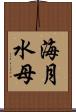 海月 Scroll