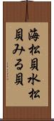 海松貝 Scroll