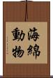 海綿動物 Scroll