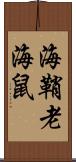 海鞘 Scroll