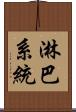 淋巴系統 Scroll