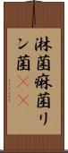 淋菌 Scroll
