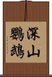深山鸚鵡 Scroll