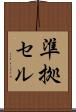 準拠セル Scroll